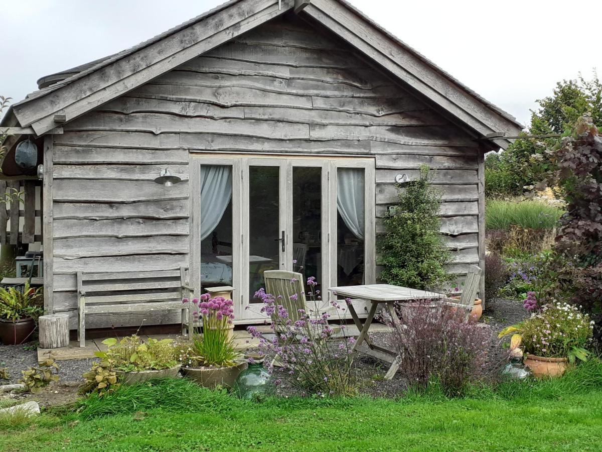 Three Oaks Nursery チチェスター エクステリア 写真